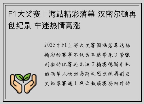 F1大奖赛上海站精彩落幕 汉密尔顿再创纪录 车迷热情高涨