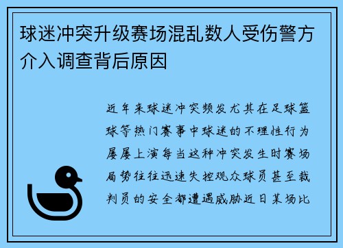 球迷冲突升级赛场混乱数人受伤警方介入调查背后原因